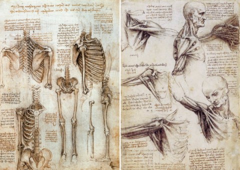 98a34da7e3 آناتومی مدرن داوینچی