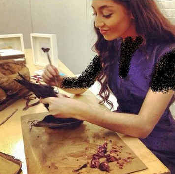 elle kaye taxidermist