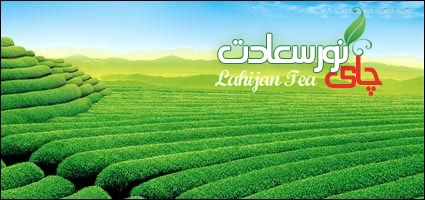چای لاهیجان | چای نورسعادت لاهیجان چای نورسعادت لاهیجان