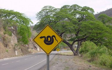 مارها نمی توانند به راحتی از جاده عبور کنند 2013-08-11_144420