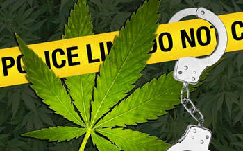 مخدر اعتیاد آور جدید به نام “گل” مخدر اعتیاد آور جدید به نام “گل”