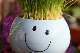 مدل های جدید « سبزه عید نوروز » مدل های جدید « سبزه عید نوروز »