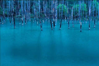 آبی ترین آب در دنیا! آبی ترین آب در دنیا!