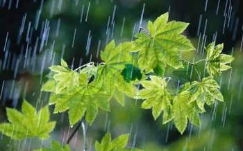 پیش بینی وضع هوا / کاهش دما تا ۳ روز آینده 2014-03-21_214209