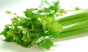 زیبایی پوست و مو با کرفس” زیبایی پوست و مو با کرفس”