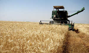 توصیههای هواشناسی کشاورزی به کشاورزان توصیههای هواشناسی کشاورزی به کشاورزان