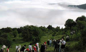 نجات ۳ جوان مفقود شده در جنگل ابر شاهرود 2014-05-29_132011