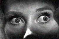 این زن با ۱۰۰ هزار سوسک زندگی می کند / عکس ترس