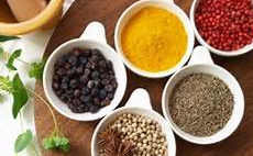 طبع من چیست ؟ چگونه طبع خود را بیابم + عکس طب سنتی