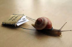 تفاوت cc و bcc در ایمیل ” / bcc به چه معناست send mail