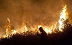 جنگل گلستان (پارک ملی) در آتش می سوزد آتش سوزی جنگل گلستان