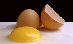 پیشگیری از دیابت با خوردن ۴ تخم مرغ 2015-04-05_092437
