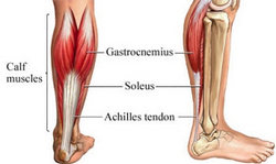 علت ورم در ساق پا چیست؟ ورم پا را جدی بگیرید 2015-04-08_180454