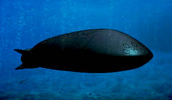 وحشت پنتاگون از زیردریایی مخوف UUV روسیه زیر دریایی بدون سرنشین روسیه UUV Kanyon