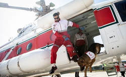 اولین بار در ایران: آموزش سگ های نجات با بالگرد سگ های آموزشی نجات هلال احمر