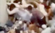 فیلم جدید / لحظه کشته شدن حجاج در حادثه منا فیلم جدید / لحظه کشته شدن حجاج در حادثه منا
