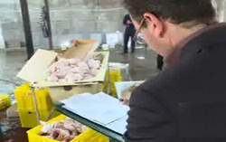 فیلم / خرید و فروش مرغ فاسد شده در شهریار کرج فیلم / خرید و فروش مرغ فاسد شده در شهریار کرج